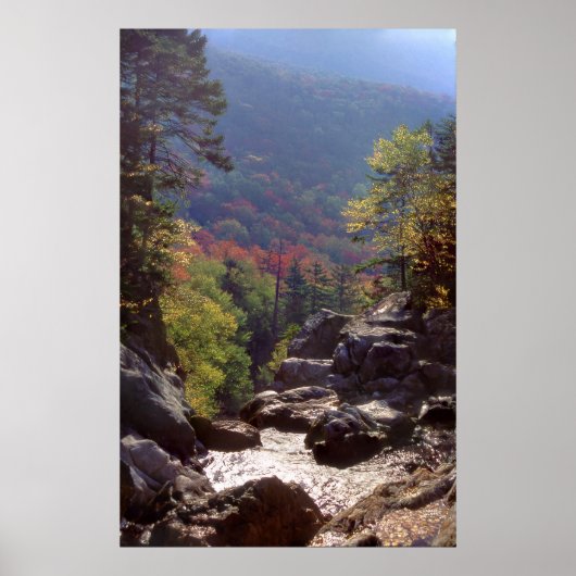 New Hampshire Fall Colors Poster (Voorkant)