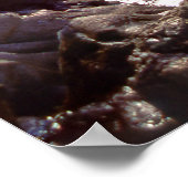 New Hampshire Fall Colors Poster (Hoek)