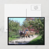 New Hampshire hayride Briefkaart (Voorkant / Achterkant)