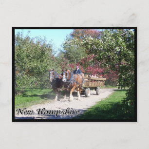 New Hampshire hayride Briefkaart