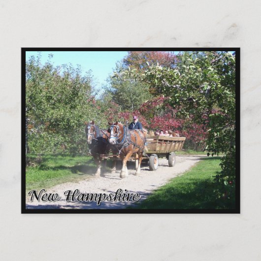 New Hampshire hayride Briefkaart (Voorkant)