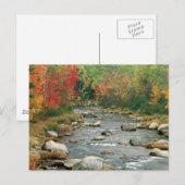 New Hampshire Herfst Briefkaart (Voorkant / Achterkant)