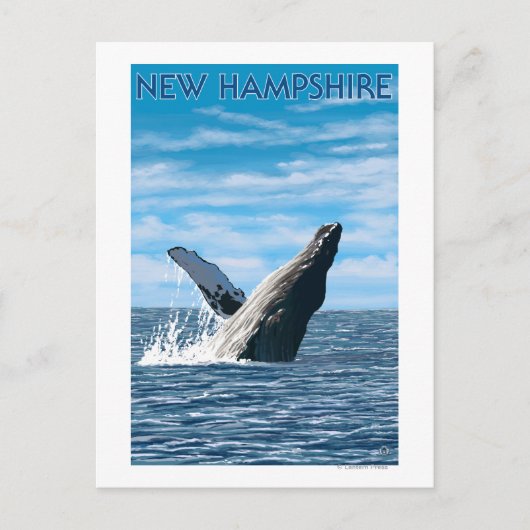 New Hampshire Humpback Whale Scene Briefkaart (Voorkant)