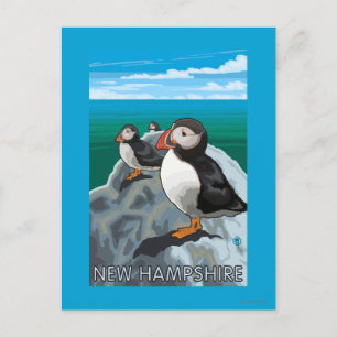 New Hampshire Puffins Scene Briefkaart