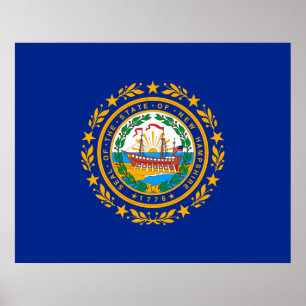 New Hampshire State Flag Design Poster