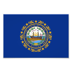 New Hampshire State Flag Foto Afdruk