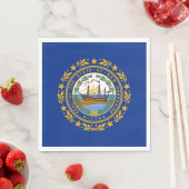 New Hampshire State Flag Servet (Insitu)