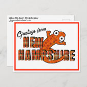 New Hampshire State Symbol Red Spotted Newt Orange Briefkaart (Voorkant / Achterkant)