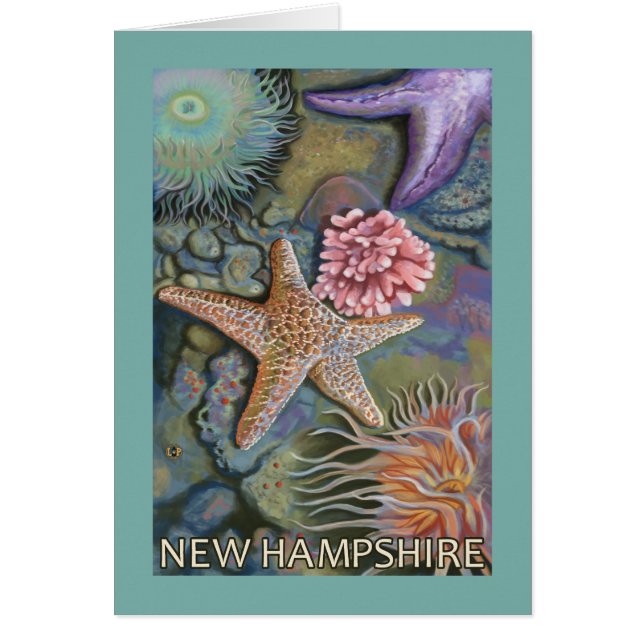 New Hampshire Tidepool Scene (Voorkant)