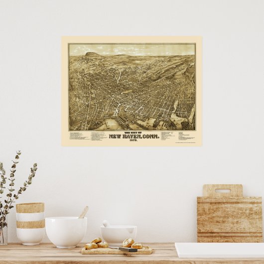 New Haven, CT Panoramic Map - 1879 Poster (Keuken)