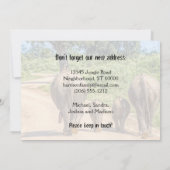 New Home Elephants We verhuizen koninklijk. Aankondiging (Achterkant)