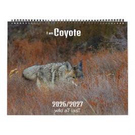 New! 'I am Coyote' 2026/2027 calendar Kalender