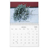 *New* IJslandse ogen 2008, met tekst Kalender (Jan 2026)