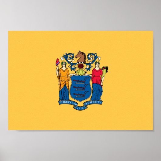 New Jersey Flag Poster (Voorkant)