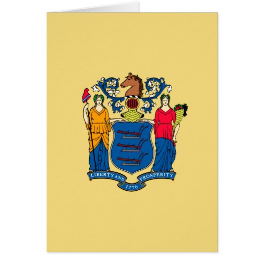New Jersey State Flag Design (Voorkant)