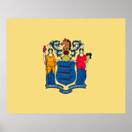New Jersey State Flag Design Poster (Voorkant)