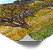 New Mexico Apple Orchard in Bloom Poster (Hoek)