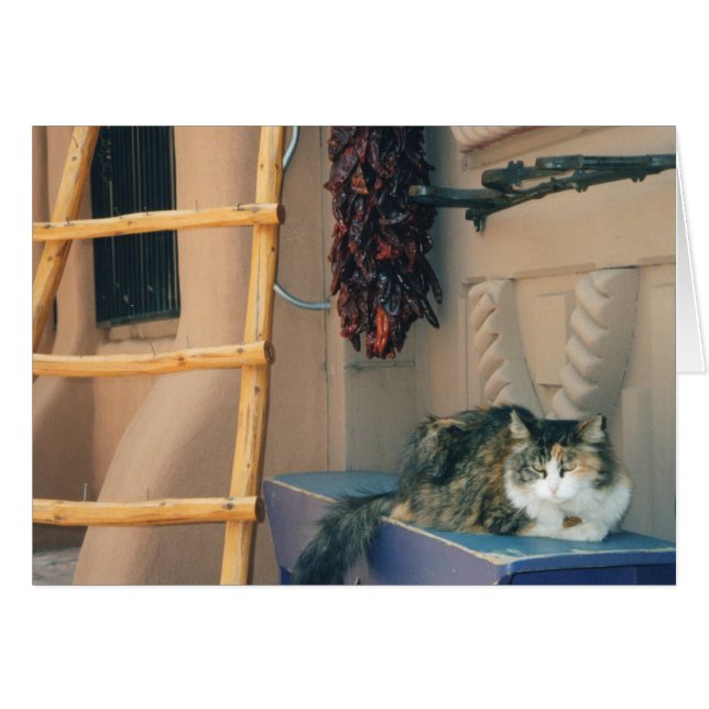 New Mexico Cat (Voorkant Horizontaal)