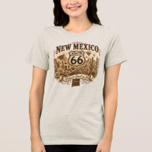 New Mexico Desert Soul Route 66 Heet Luchtballon 