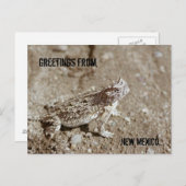New Mexico Horned Toad Briefkaart (Voorkant / Achterkant)