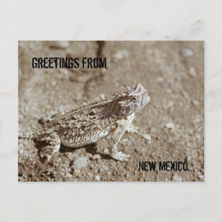 New Mexico Horned Toad Briefkaart