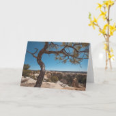 New Mexico Landscape Photo Kaart (Gele Bloem)