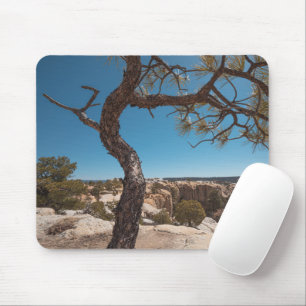 New Mexico Landscape Photo Muismat