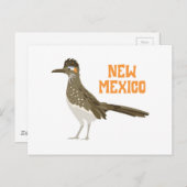 New Mexico Roadrunner Briefkaart (Voorkant / Achterkant)