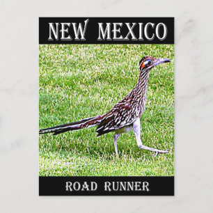 New Mexico Roadrunner Briefkaart