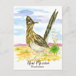 New Mexico State Bird Roadrunner Yucca Briefkaart