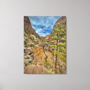 New Mexico Waterfall Canvas Afdruk