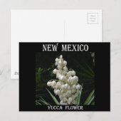 New Mexico Yucca Flower Briefkaart (Voorkant / Achterkant)