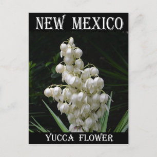 New Mexico Yucca Flower Briefkaart