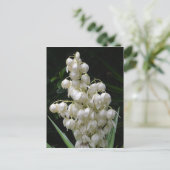 New Mexico Yucca Flower Briefkaart (Staand voorkant)