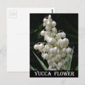 New Mexico Yucca Flower Briefkaart (Voorkant / Achterkant)