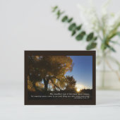 New Mornings Briefkaart (Staand voorkant)