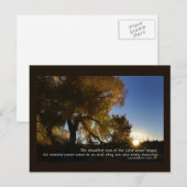 New Mornings Briefkaart (Voorkant / Achterkant)