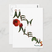 New Orleans Chili Peppers Briefkaart (Voorkant / Achterkant)