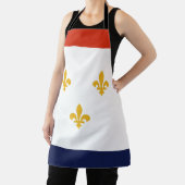 New Orleans City vlag Apron Schort (Insitu)