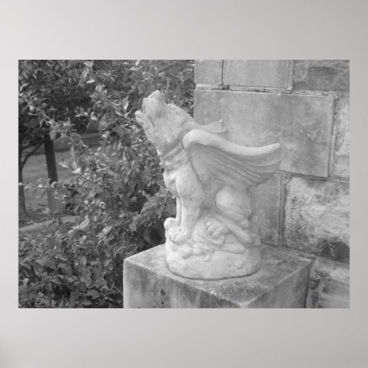 New Orleans Gargoyle Poster (Voorkant)