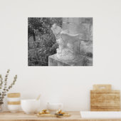 New Orleans Gargoyle Poster (Keuken)