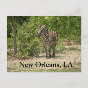 New Orleans, LA Briefkaart