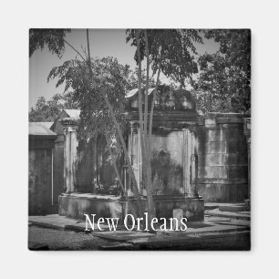 New Orleans magneet