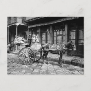 New Orleans Milk Cart: 1903 Briefkaart