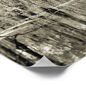 New Orleans Swamp Poster (Hoek)