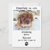 New Pet Dog Announcement Kaart (Voorkant)