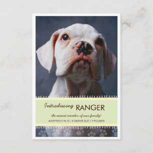 New Pet Male Green Banner Foto Aankondiging