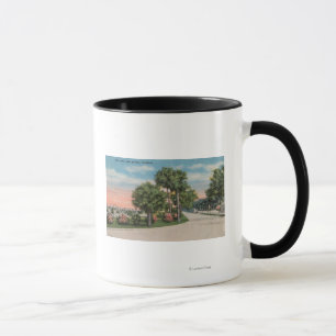 New Smyrna, Florida - Street Uitzicht van City Par Mok