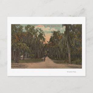 New Smyrna, Florida - Uitzicht van Magnolia Briefkaart