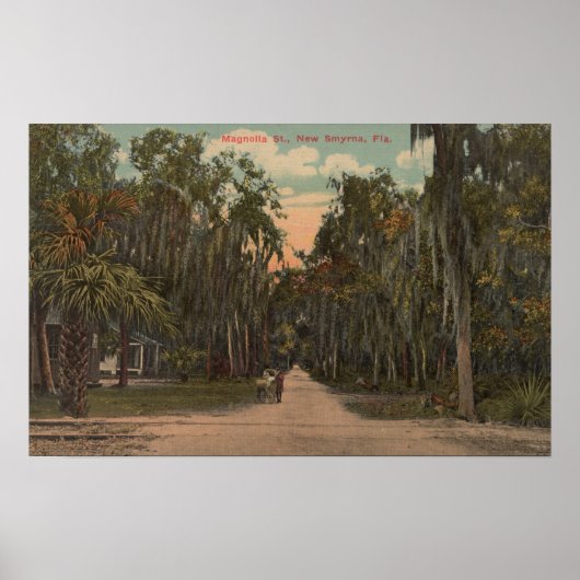 New Smyrna, Florida - Uitzicht van Magnolia Poster (Voorkant)